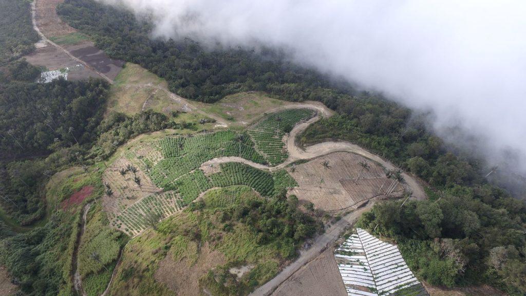 Precision Agriculture in the Junquito Distrito Capital
