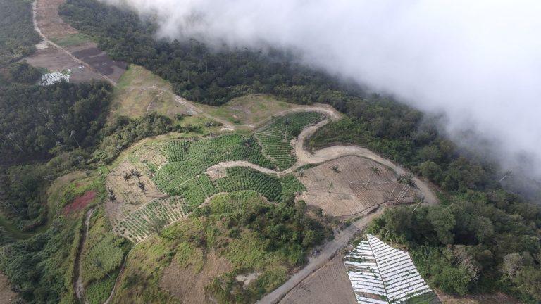 Precision Agriculture in the Junquito Distrito Capital